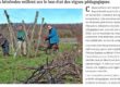 vignes pédagogiques